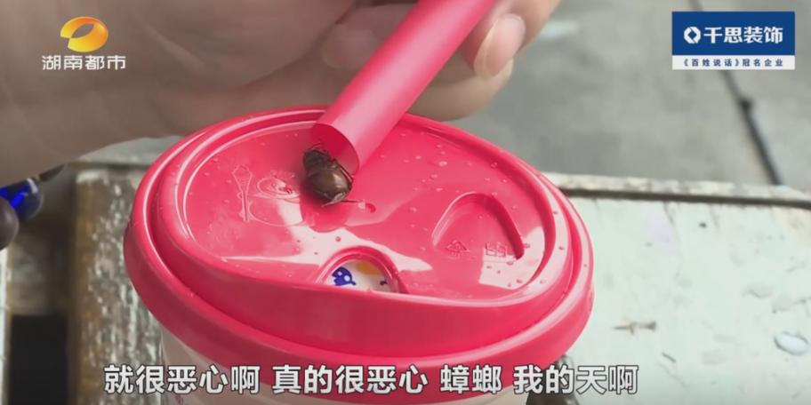 今晚开奖结果号码和蜜雪喝出不明飞虫与蜜雪冰城喝出虫子怎么处理