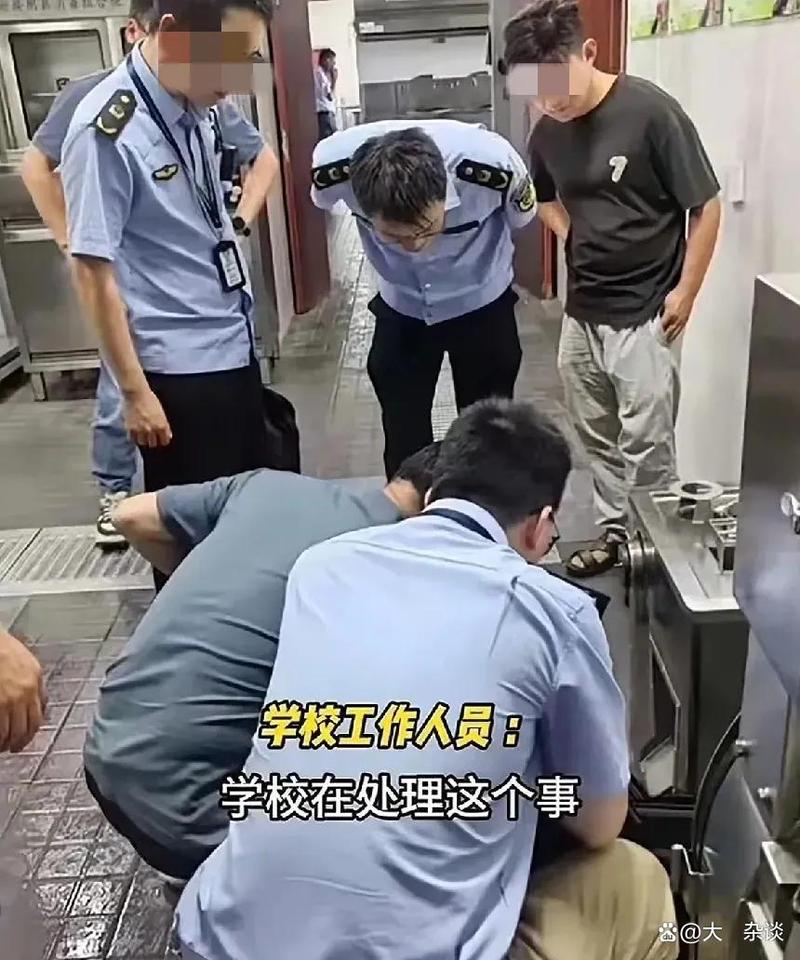 今晚开奖结果号码和食堂供应转运筐生蛆与食堂供应转运筐生蛆怎么处理