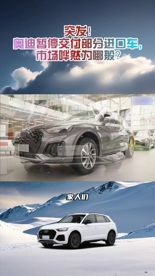 （奥迪暂停全面电动化计划）