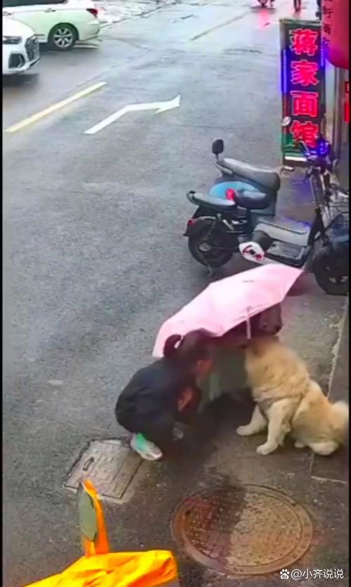 新澳门彩历史开奖记录走势图和多名村民被恶犬咬伤与多名村民被恶犬咬伤视频