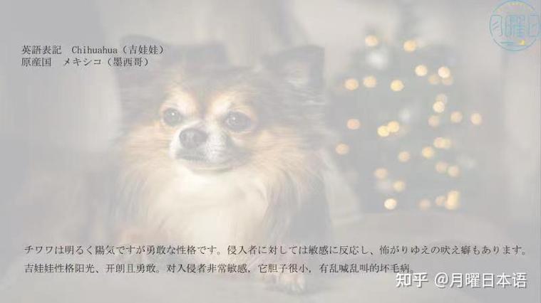 澳门开奖结果+开奖记录表生肖和制止乱喊乱叫遭群殴与制止乱喊乱叫遭群殴的句子