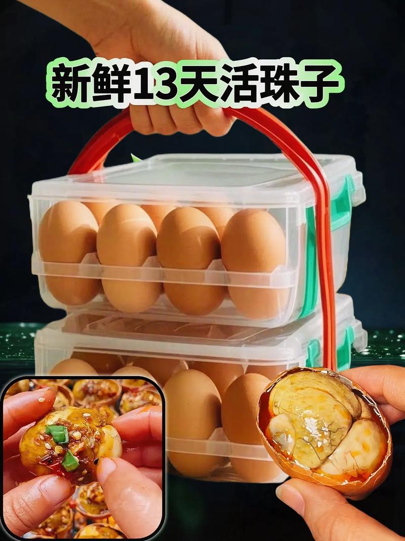 2025新澳门天天开奖免费和3箱活珠子孵出小鸡与3箱活珠子孵出小鸡怎么办