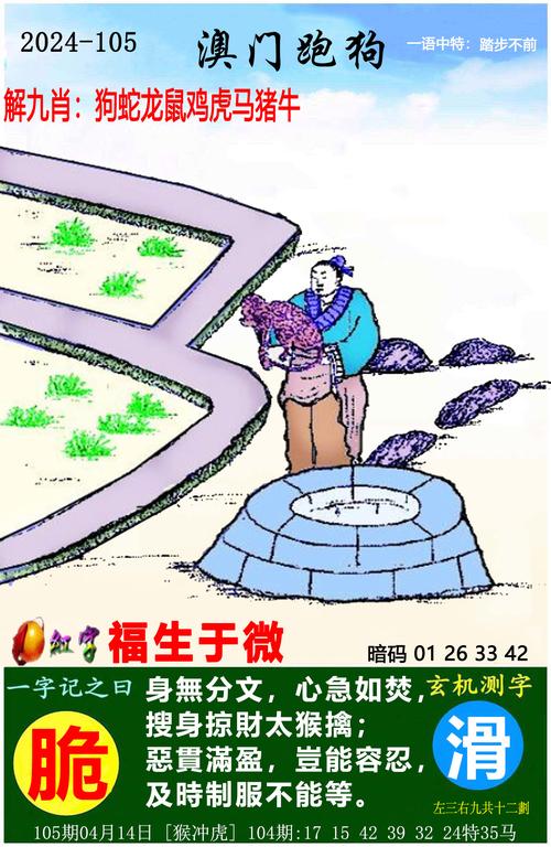 澳门开奖结果+开奖记录表生肖和男子街头遛猪引围观与男子被当街遛狗