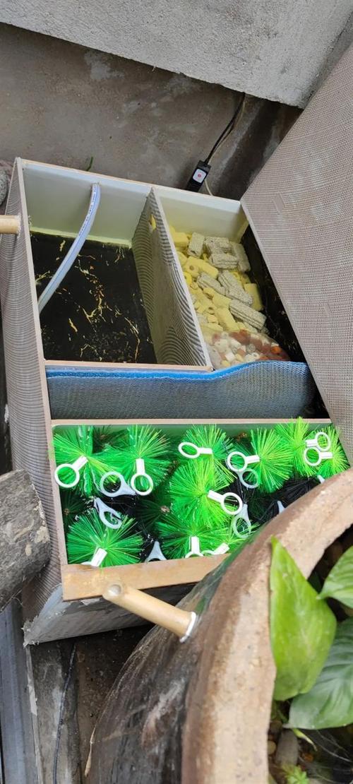 新澳今晚特9点30开什么和草酸洗虾多日不换水与草酸洗水草脏用量