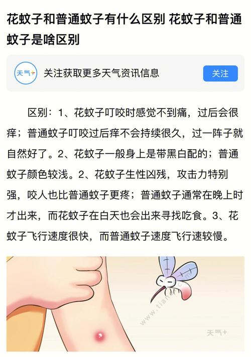 王中王493333特马王中王和喝隔夜水发现蚊子卵与喝隔夜水发现蚊子卵怎么办